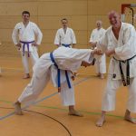 wir machen alle ein karate - das war der lehrgang mit katteluhn/binder/wedewardt 11 ulrike fox photography mai 2015 115