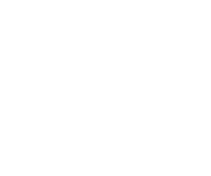 KP Logo 08 icon white