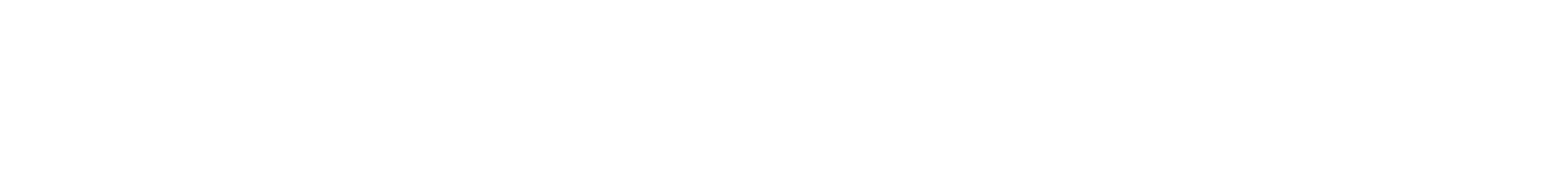 KP Logo 08 wide small white