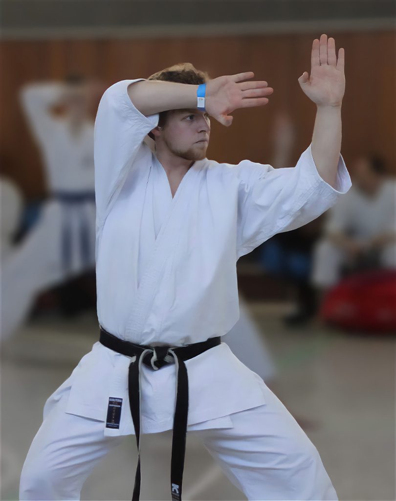 kata bunkai kata anwendung heian nidan daniel